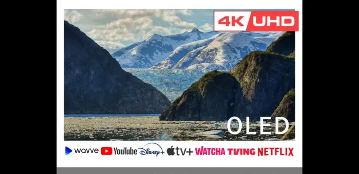 LG 55인치 OLED 4K 스마트 TV 특가한정판매!